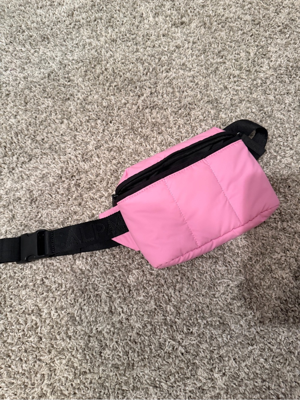 Mini CALPAK Crossbody - Limited Color NWOT